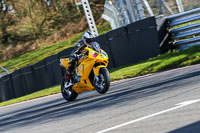 Oulton-Park-20th-March-2020;PJ-Motorsport-Photography-2020;anglesey;brands-hatch;cadwell-park;croft;donington-park;enduro-digital-images;event-digital-images;eventdigitalimages;mallory;no-limits;oulton-park;peter-wileman-photography;racing-digital-images;silverstone;snetterton;trackday-digital-images;trackday-photos;vmcc-banbury-run;welsh-2-day-enduro